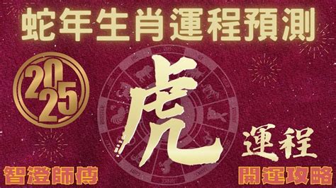 乙巳年生肖|2025蛇年生肖運勢解析！屬牛開大運、屬馬謹慎理財、屬豬需要。